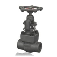  Forged Steel Gate Valves at Best Price in India