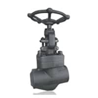  Forged Steel Globe Valve at Best Price in India