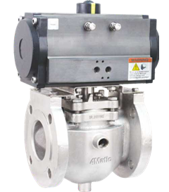 Plug-Valve Plug Valve